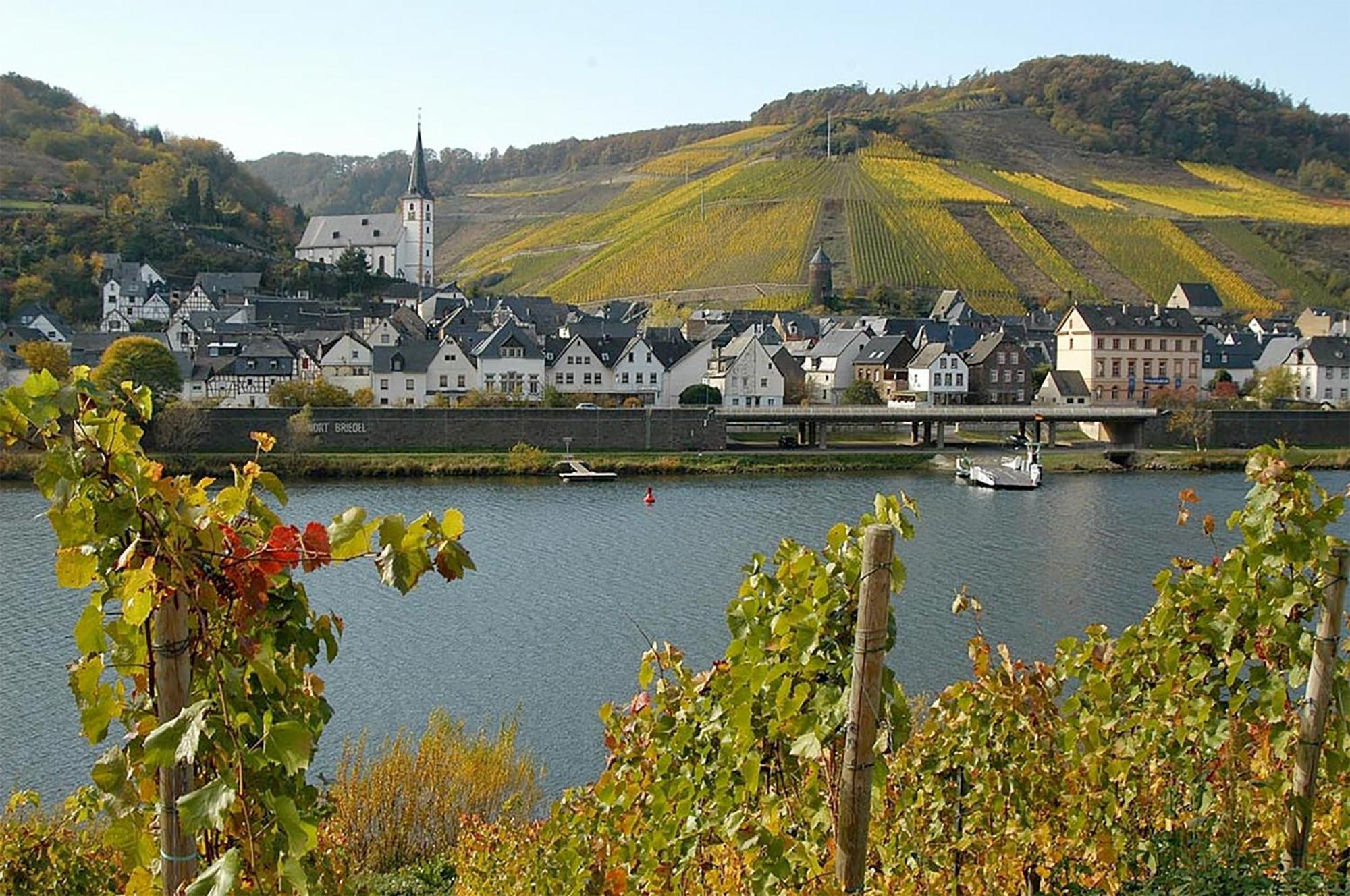 Ferienwohnung Weingut Rosenbaum Briedel Exterior foto