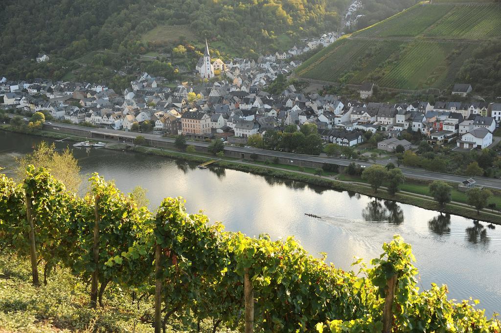 Ferienwohnung Weingut Rosenbaum Briedel Exterior foto