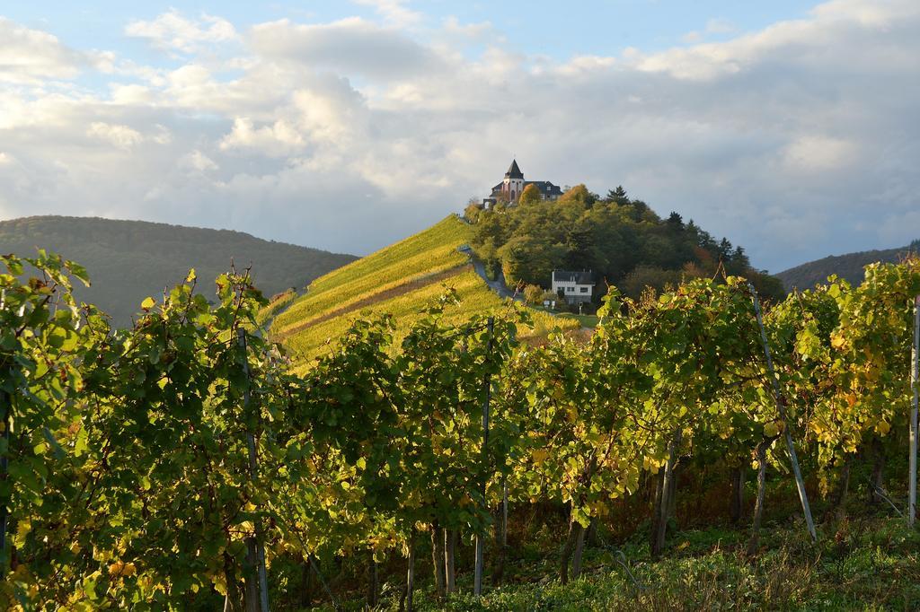 Ferienwohnung Weingut Rosenbaum Briedel Exterior foto